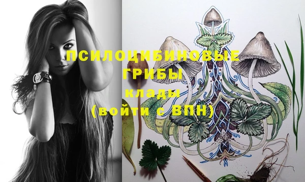 круглые Белокуриха