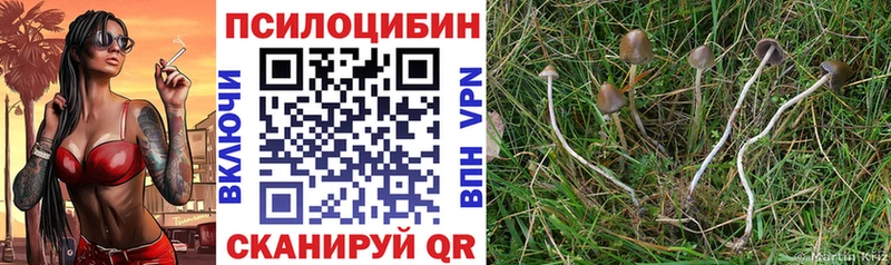 купить наркотик  Вязьма  Псилоцибиновые грибы мухоморы 